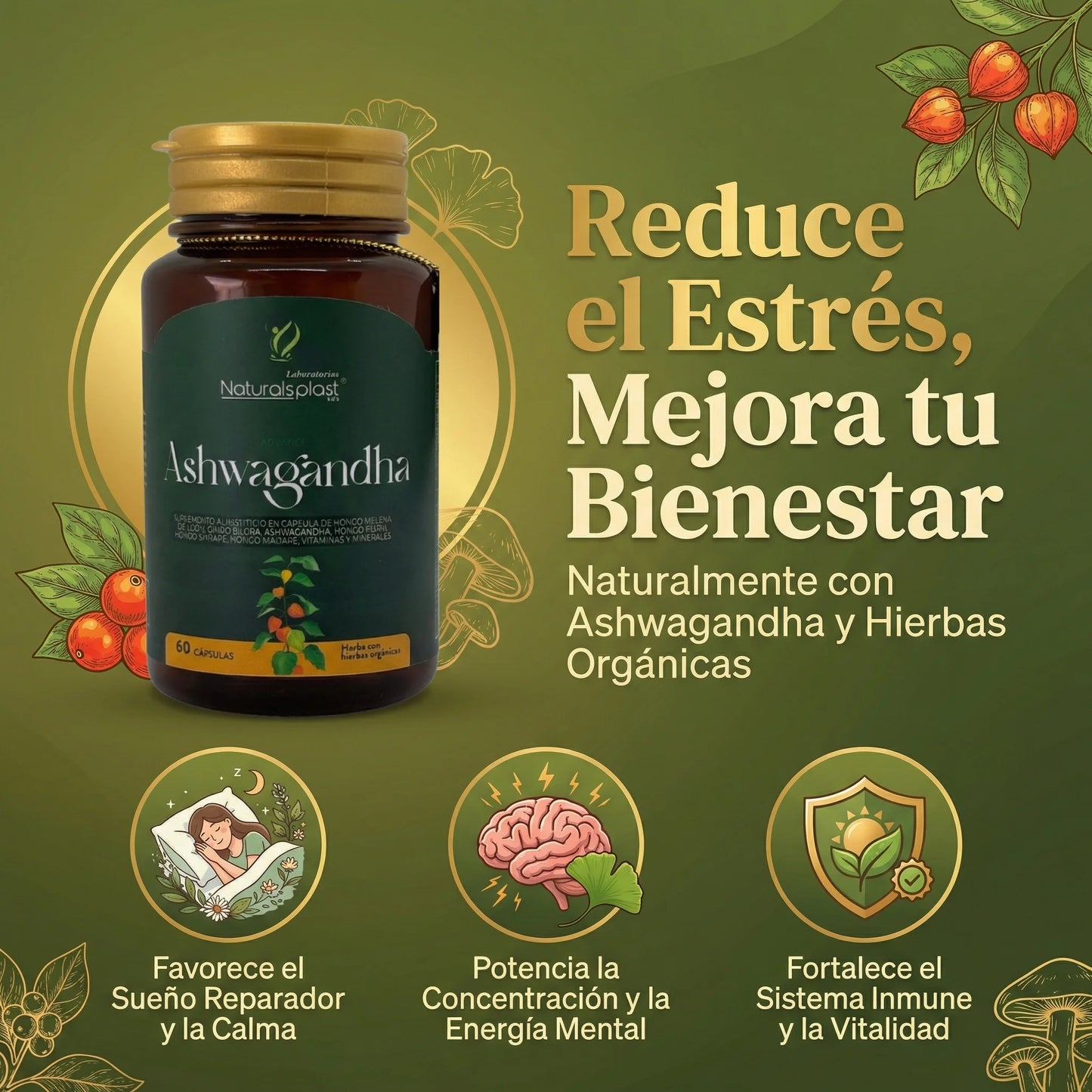 Ashwagandha 60cap Estres Ansiedad