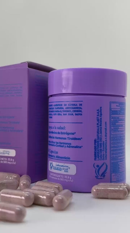 Meno 60cap Equilibrio Hormonal